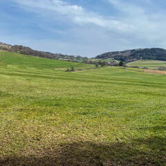 25-03-21 13-09-50 2492